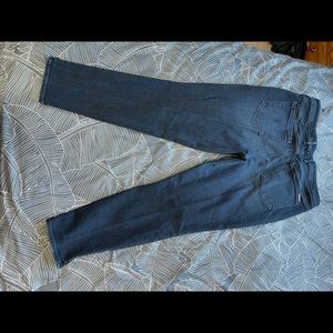 Eddie Bauer slightly curvy skinny jeans with zipper detail.  Size 16